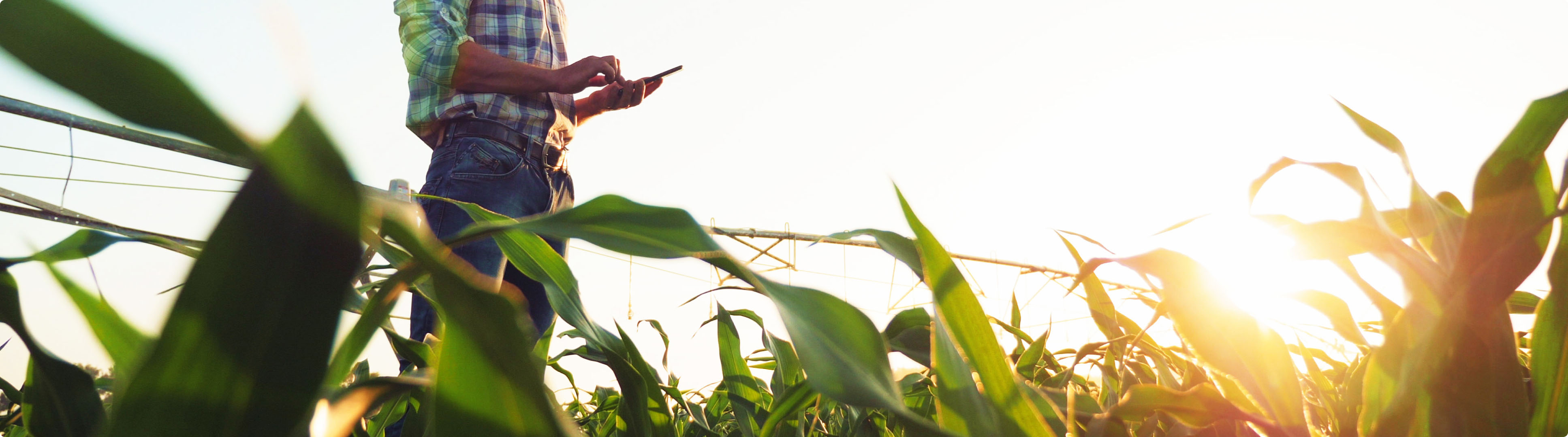 Camera at level with grass with a person standing, with their lower half showing and phone in hand